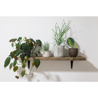 KOŁEK METALOWY DO G-K 4MM DO PŁYT 18-24MM /opk=100szt./ 9424HRM CELO (9424HRM)